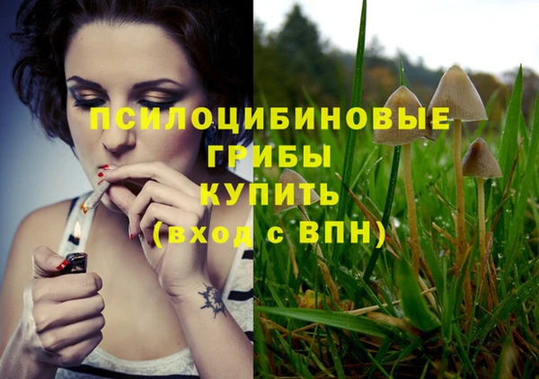 альфа пвп Дмитров
