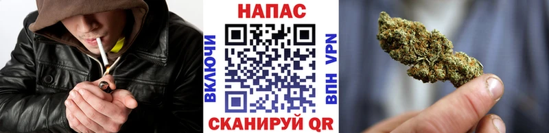 Бошки Шишки марихуана  Зея 
